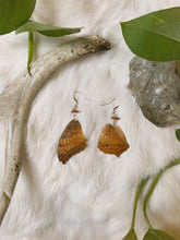 Load image into Gallery viewer, Amber ~ (real!) butterfly wing earring set
