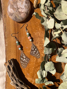 Blue Tiger Butterfly ~ earring set (real!)